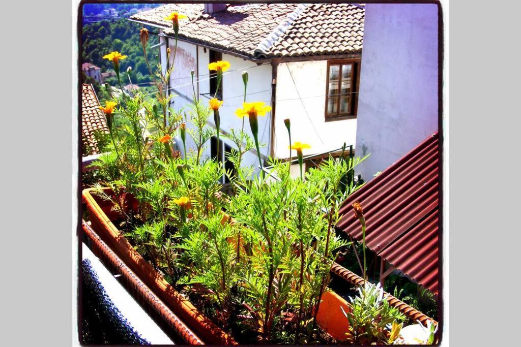 Authentic Guest Stay In The Heart Of Veliko Tarnovo Студио С Изглед Към Царевец ภายนอก รูปภาพ